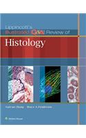 Lippincott's Illustrated Q&A Review of Histology