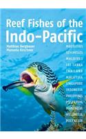 Reef Fishes of Indo-Pacific