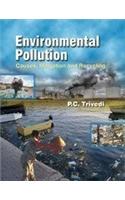 Environmental Pollution: Causes, Mitigation and Recycling
