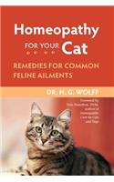 Homeopathy for Your Cat: Remedies for Common Feline Ailments