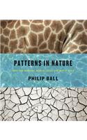 Patterns in Nature: Why the Natural World Looks the Way It Does