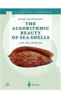 The Algorithmic Beauty of Sea Shells