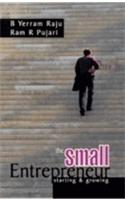 The Small Entrepreneur: Starting and Growing