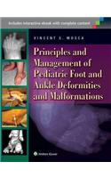 Principles and Management of Pediatric Foot and Ankle Deformities and Malformations