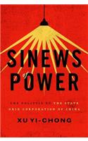 Sinews of Power: The Politics of the State Grid Corporation of China