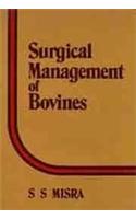 Surgical Management of Bovines