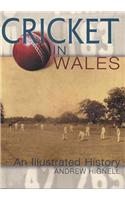 Cricket in Wales