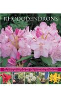 Rhododendrons: An Illustrated Guide to Varieties, Cultivation and Care, with Step-By-Step Instructions and Over 135 Beautiful Photogr