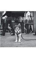 Mastering Street Photography