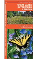Great Lakes Butterflies & Moths: An Introduction to Familiar Species