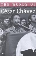 Words of Cesar Chavez
