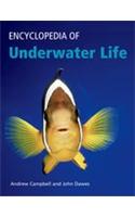 Encyclopedia of Underwater Life