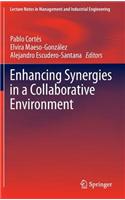Enhancing Synergies in a Collaborative Environment