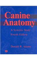 Canine Anatomy: A Systematic Study