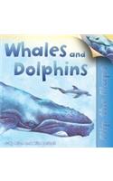 Flip the Flaps: Whales and Dolphins