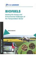 Biofuels: Meeting the Energy and Environmental Challenges of the Transportation Sector
