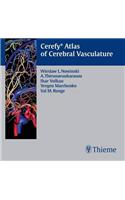 Cerefy Atlas of Cerebral Vasculature