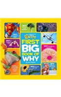 National Geographic Little Kids First Big Book of Why