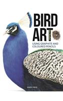 Bird Art: Using Graphite and Coloured Pencils