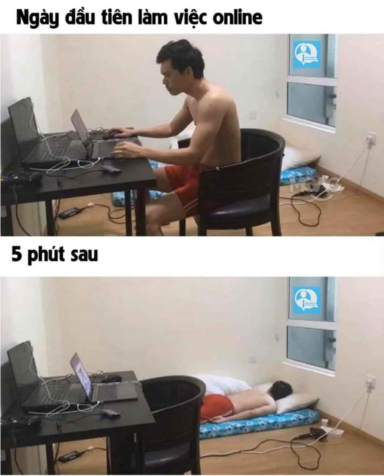 С работы домой приколы
