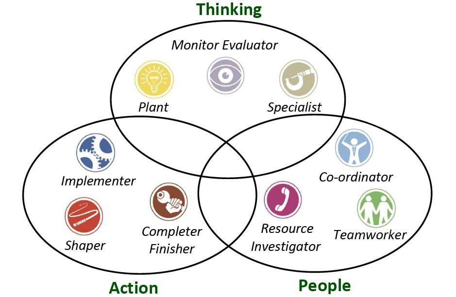 belbin team roles free test