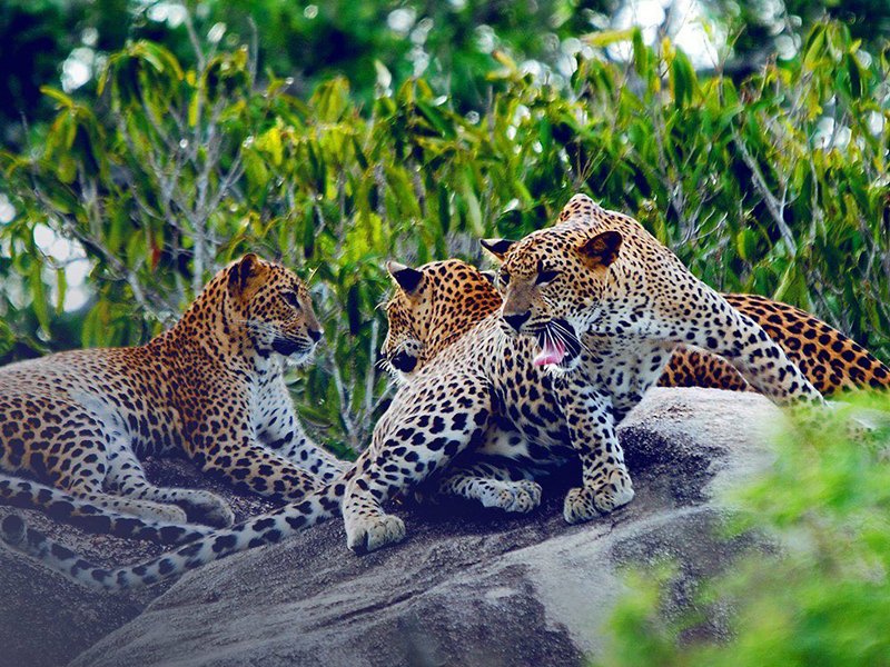 SPECIAL CULINARY GROUP TOUR - Sep & Oct 2026