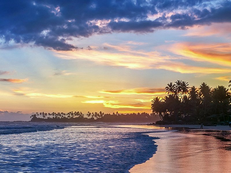 SPECIAL CULINARY GROUP TOUR - Sep & Oct 2026