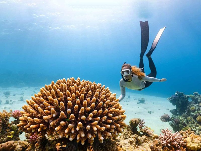 SRI LANKA ULTIMATE ADVENTURE: Hiking, Rafting, Cycling, Water Sports & Beach Escape.