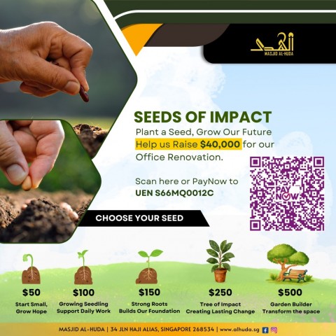 Seeds of Impact