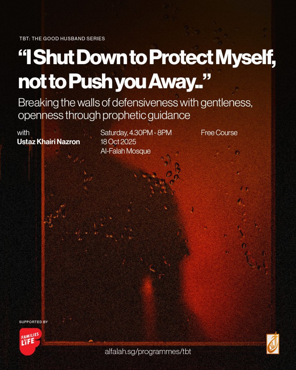 TBT - The Good Husband Series: I Shut Down to Protect Myself, not to Push you Away