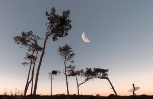 moon