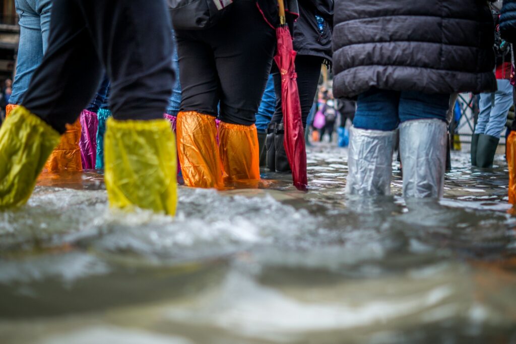 Corporate Responsibility in Disasters: Meeting Employee Expectations