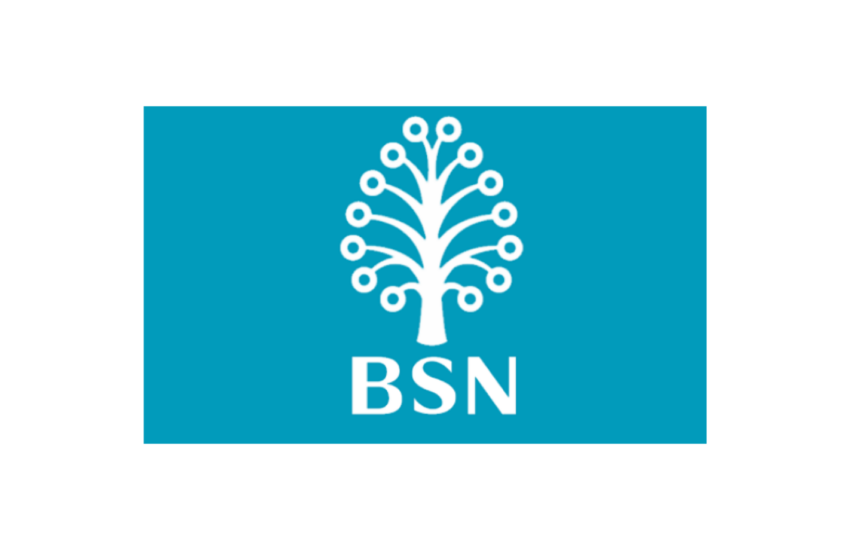 Jawatan Kosong Di Bank Simpanan Nasional (BSN)