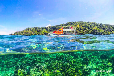 Fun Boat Snorkeling + Island Visit