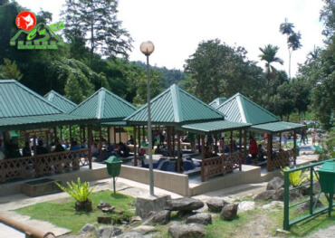 Kinabalu Park and Poring Hot Spring