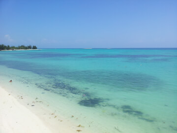 MANTANANI ISLAND DAY TRIP
