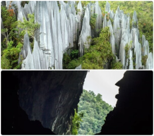 4D3N Mulu Caves + Pinnacles