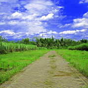 Kavling Murah Siap Bangun Full Fasum Wagir Malang di Kab. Malang, Jawa Timur