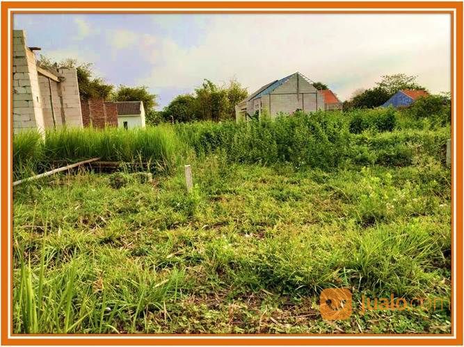 Dijual Jawa Timur Tanah Luas Dekat Pasar - Waa2