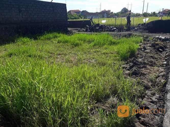 Dijual Tanah Kavling Denpasar - Waa2