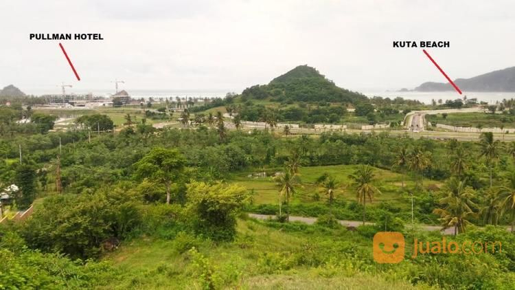 Dijual Manggelewa Tanah - Waa2