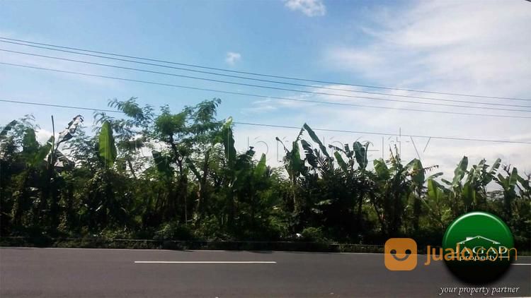 Dijual Tanah Jalan Magelang Jogja - Waa2