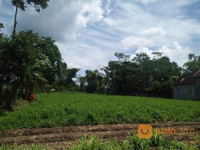 Dijual Tanah Di Tulungagung - Ditemukan 175 Penawaran 