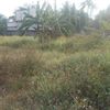Tanah bagus akses san properti tanah 1517081