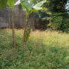 Dijual tanah murah lu properti tanah 545745