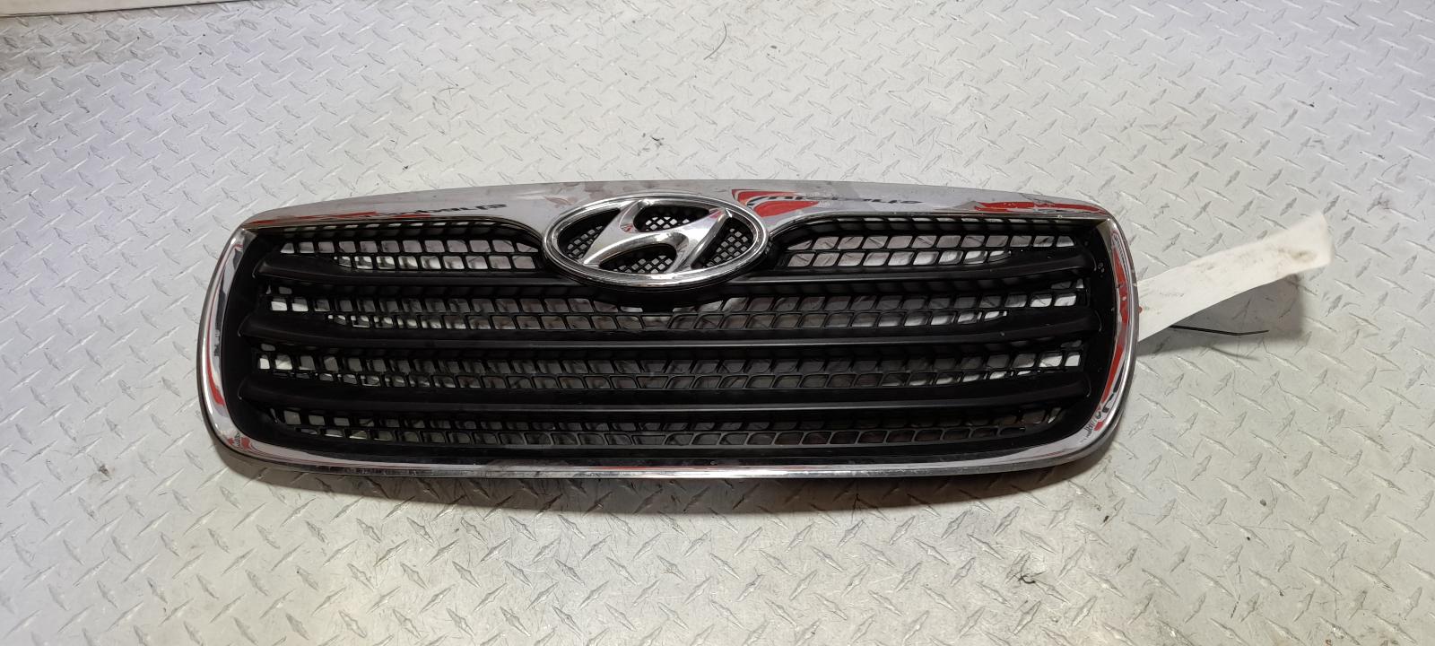 View Auto part Grille Hyundai Santa Fe 2010