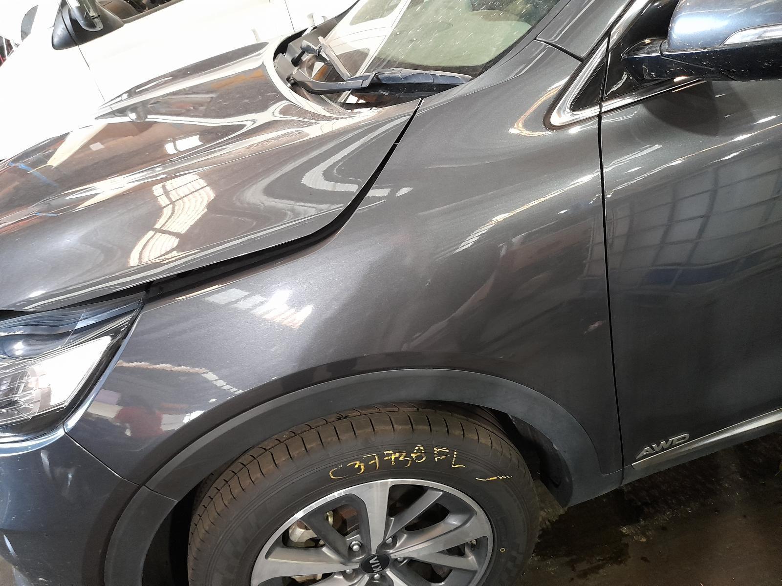 View Auto part Left Guard Kia Sorento 2019