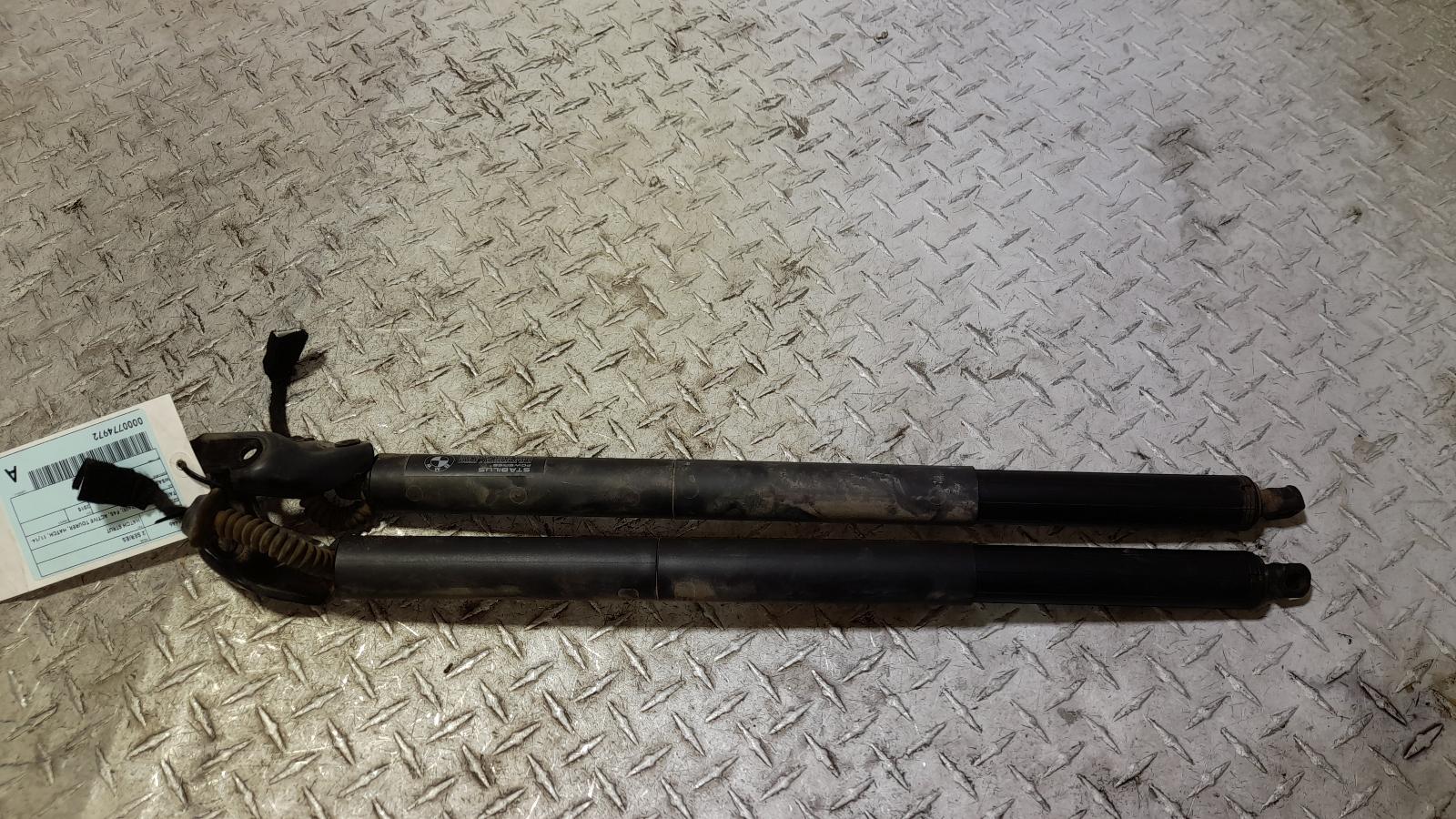 View Auto part Hatch Strut Bmw 2 Series 2015