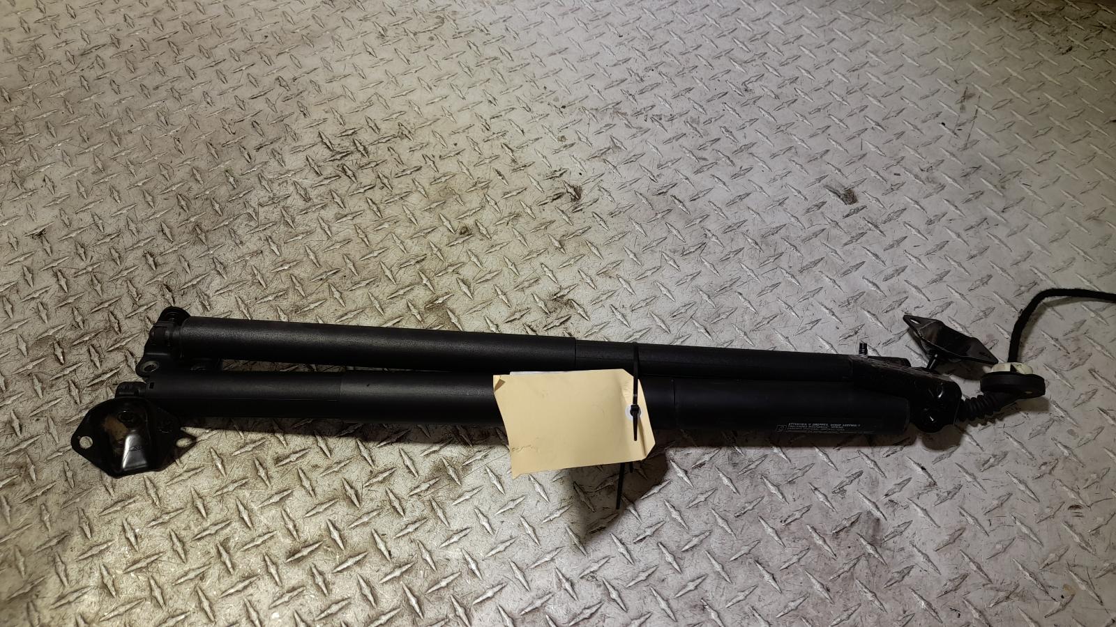 View Auto part Hatch Strut Ford Everest 2021