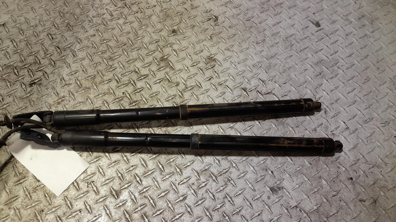 View Auto part Hatch Strut Kia Carnival/grand Carnival 2016